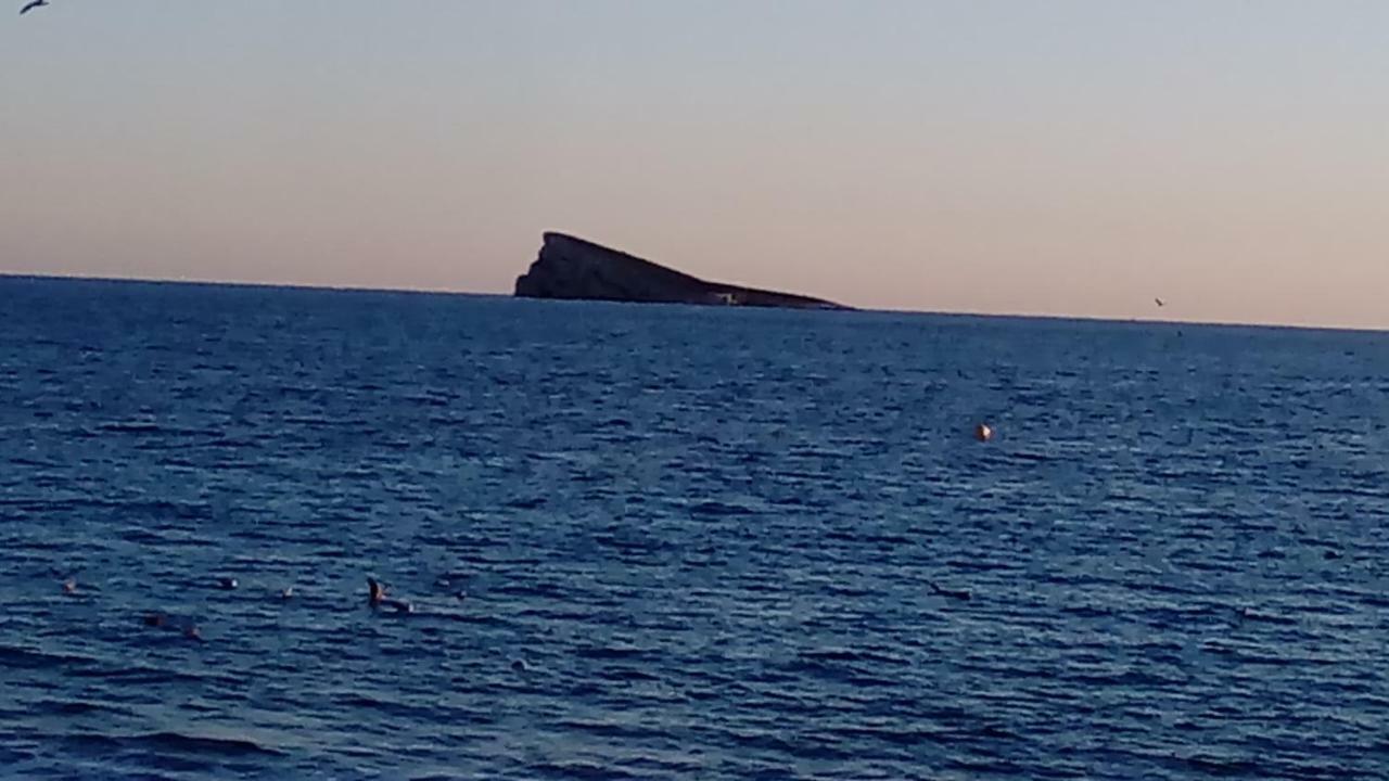 Apartamento "Solaz" Benidorm Dış mekan fotoğraf